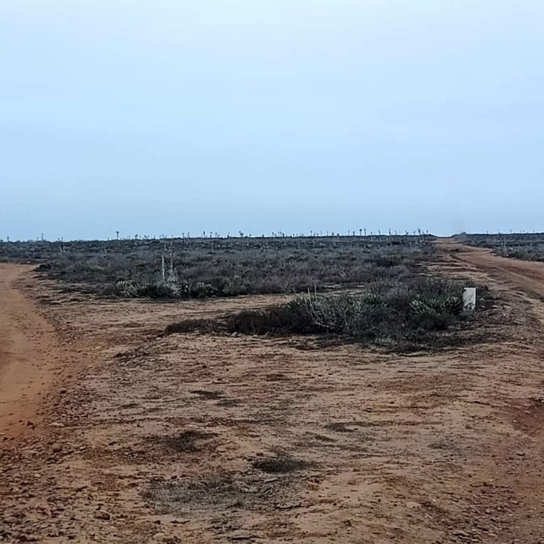 Cuerpo de Hombre Maniatado es Hallado en Camino Cerca de Playa en San Quintín