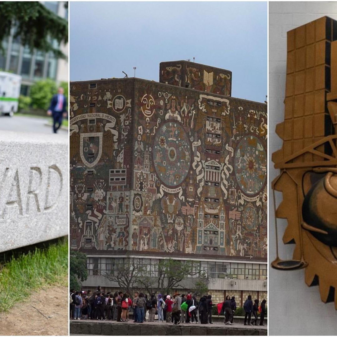 Harvard, UNAM e IPN