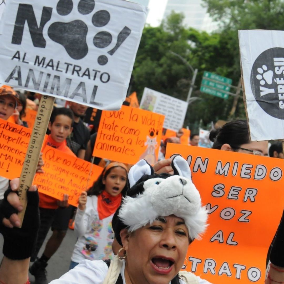 Marchas Hoy 19 de Agosto de 2024 en CDMX: Bloqueos y Concentraciones