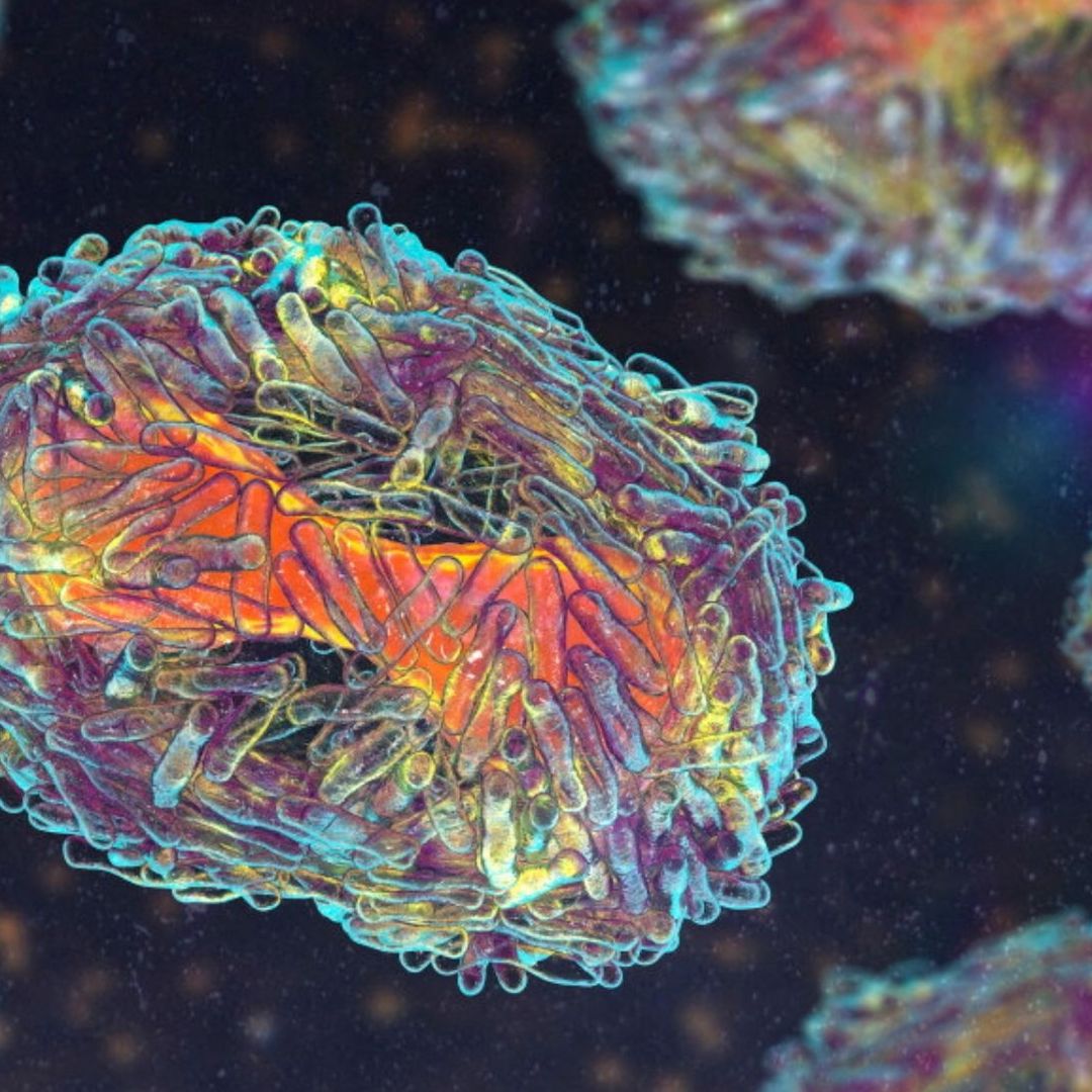 OMS Llama a la Tranquilidad ante Nuevo Brote de Mpox y Detalla Forma de Transmisión