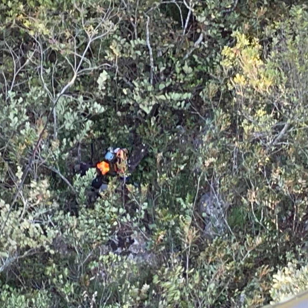 Hombre Cae de Paracaídas y Sobrevive