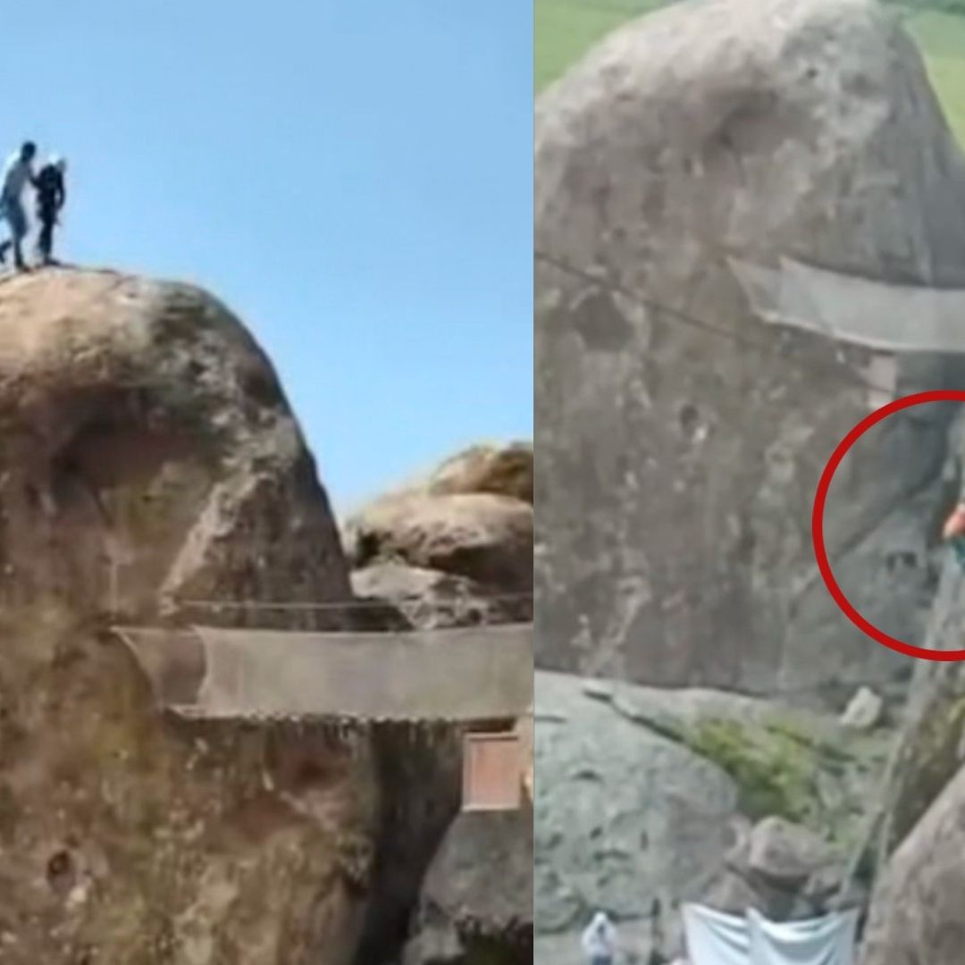 Abejas Atacan a Turistas en Zona Turística de Jalisco