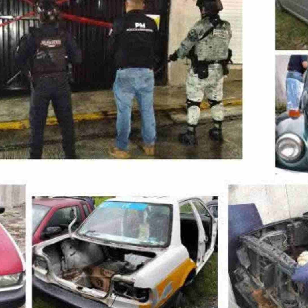 Aseguran Vehículos con Reporte de Robo tras Cateo en La Perla Córdoba Veracruz