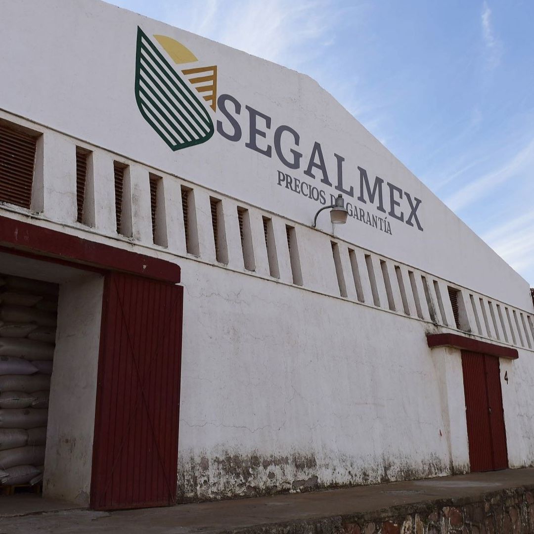 Centro de Acopio de Segalmex, en Morelos, Zacatecas.