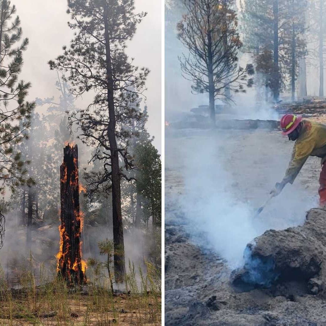 Avanza Control del Incendio Forestal en Ensenada; Hay Más de Mil Hectáreas Afectadas