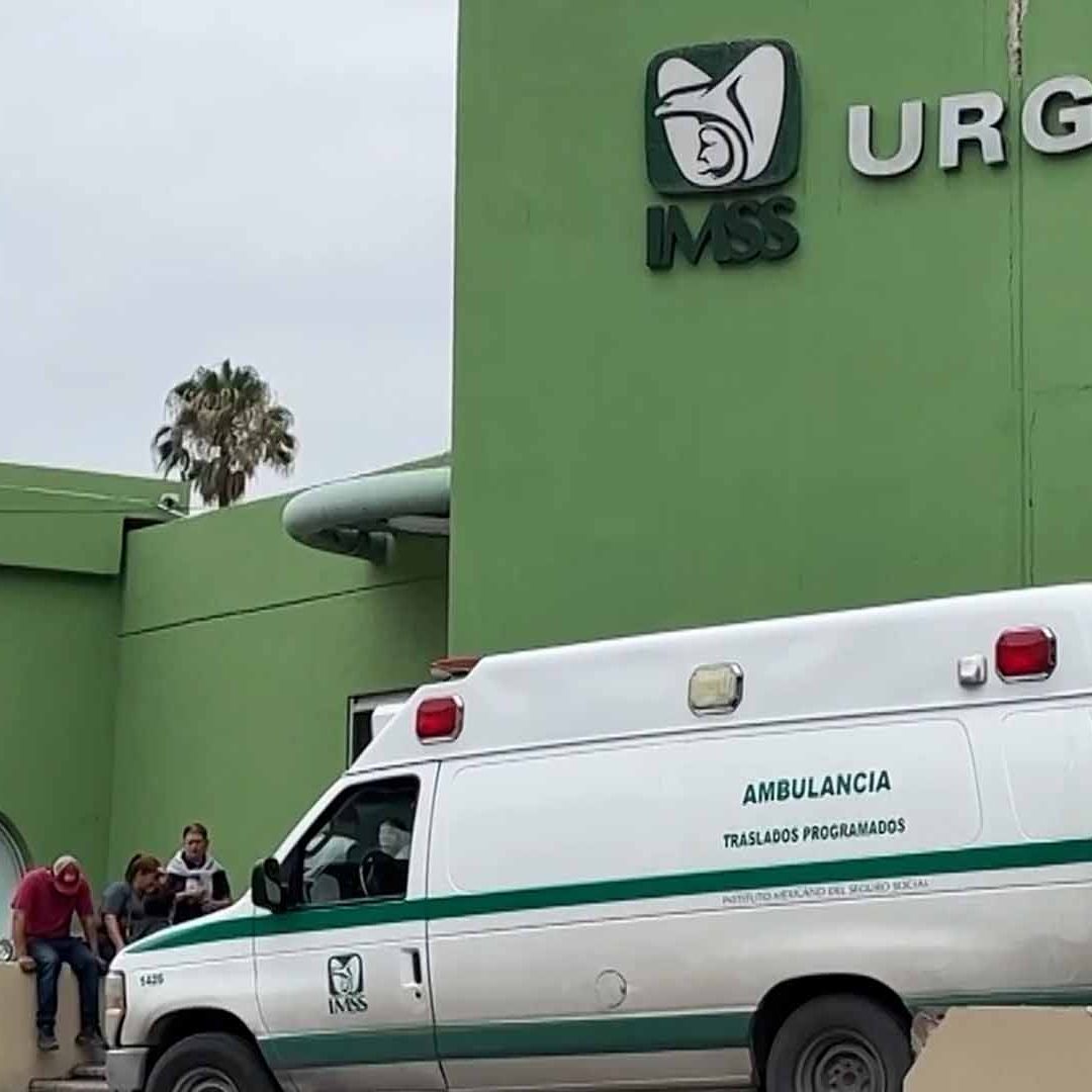 Gato Muere Electrocutado y Provoca Apagón en Hospital General del IMSS en Saltillo
