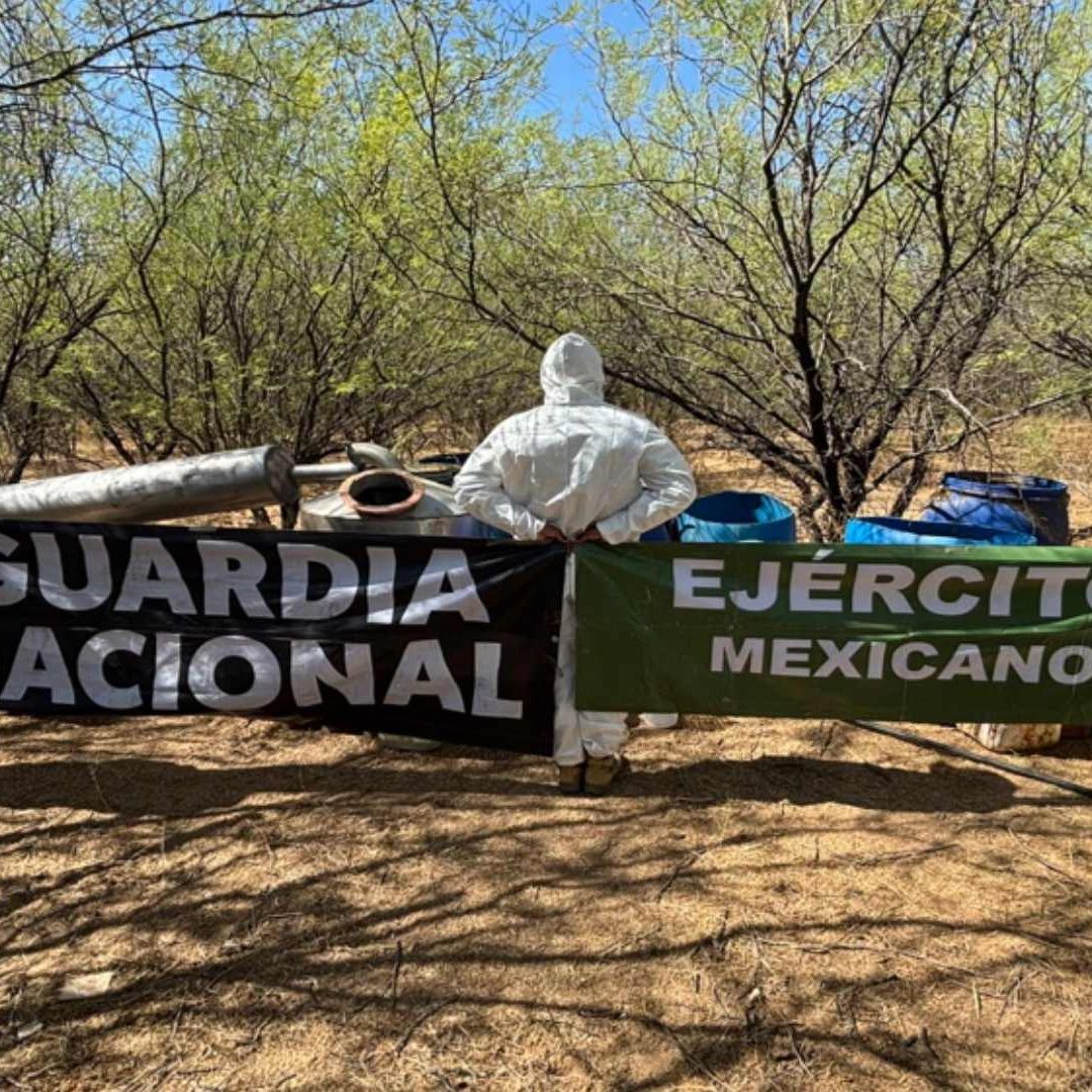 Material para elaborar drogas asegurado en Sonora