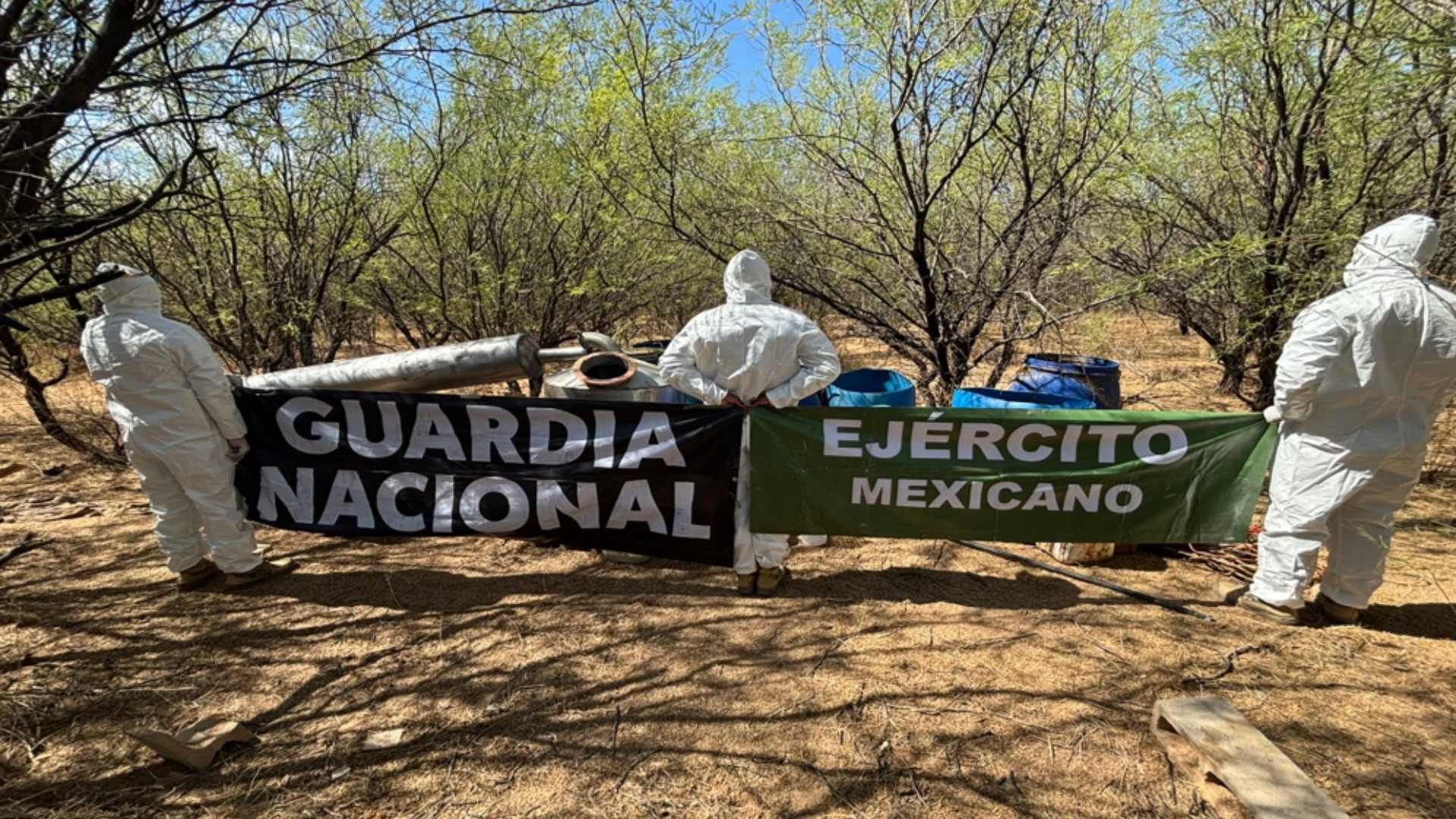Material para elaborar drogas asegurado en Sonora