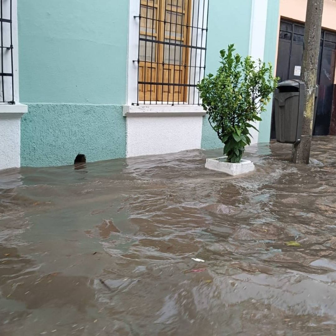 Linea 1 suspendida por lluvias en Guadalajara