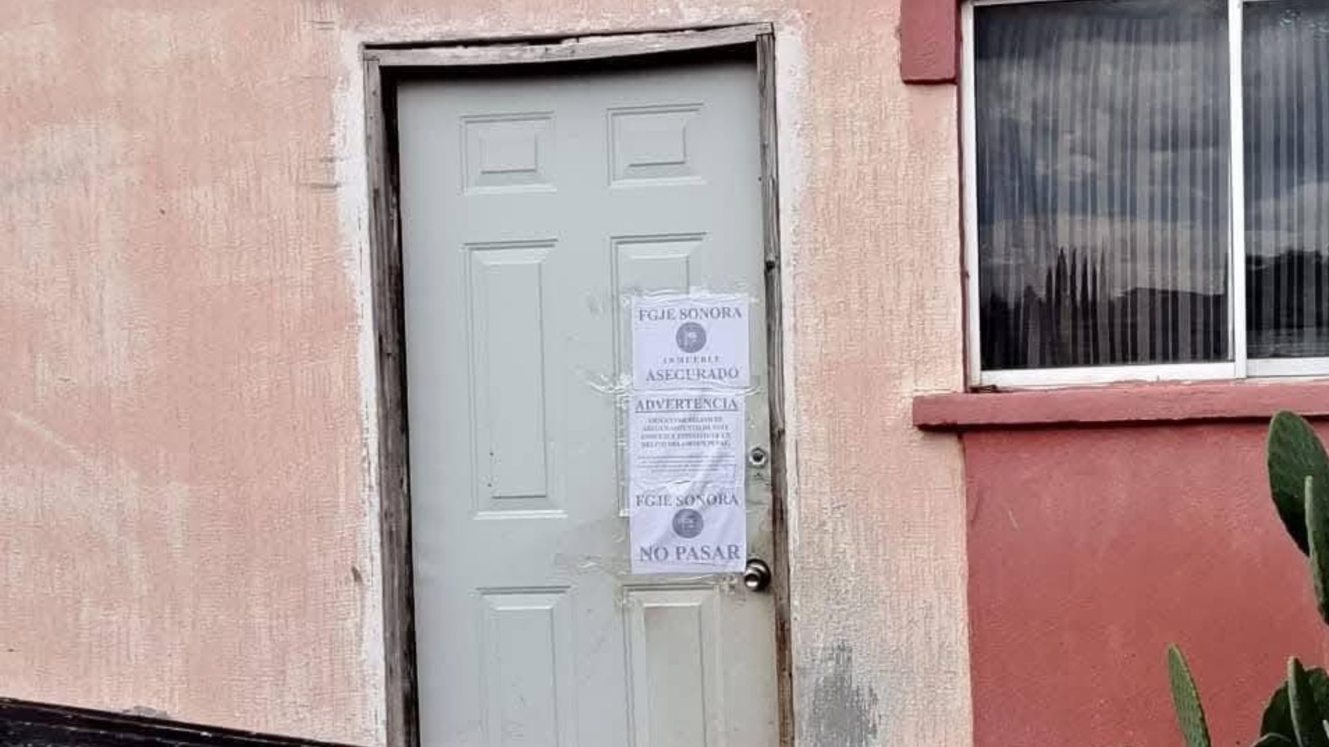 Fiscalía Confirma que Carne Hallada en Cateo era de Res; 54 Perros Fueron Rescatados en Nogales
