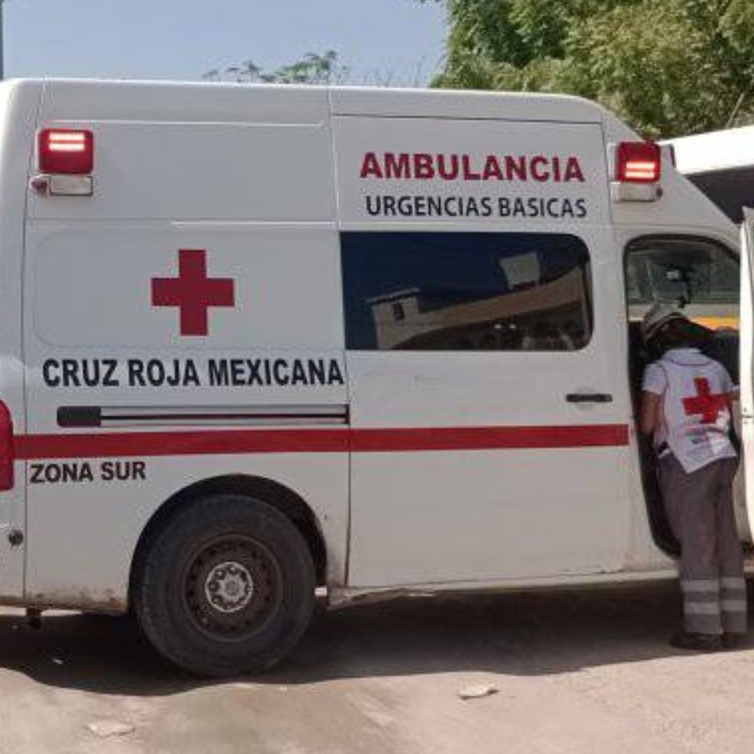 Hombre Muere al Ser Pateado por Su Caballo quien Sufría un Infarto