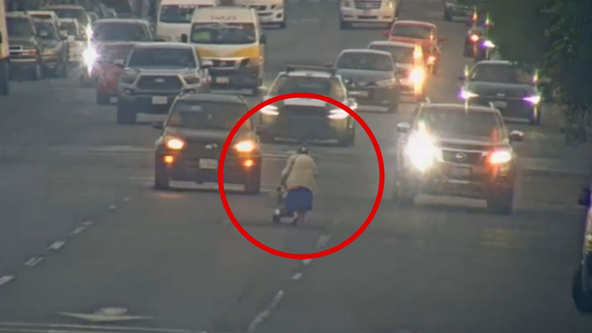 Policías Auxilian a Mujer de la Tercera Edad que Caminaba entre Carril de Circulación
