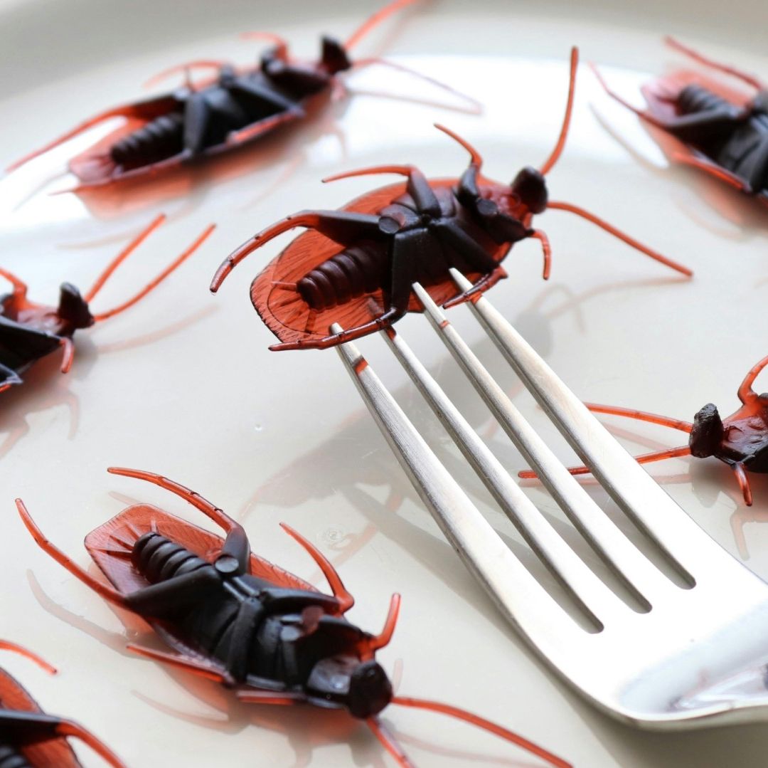 Captan en Video a Mujer que Puso una Cucaracha en su Comida para No Pagar en Restaurante
