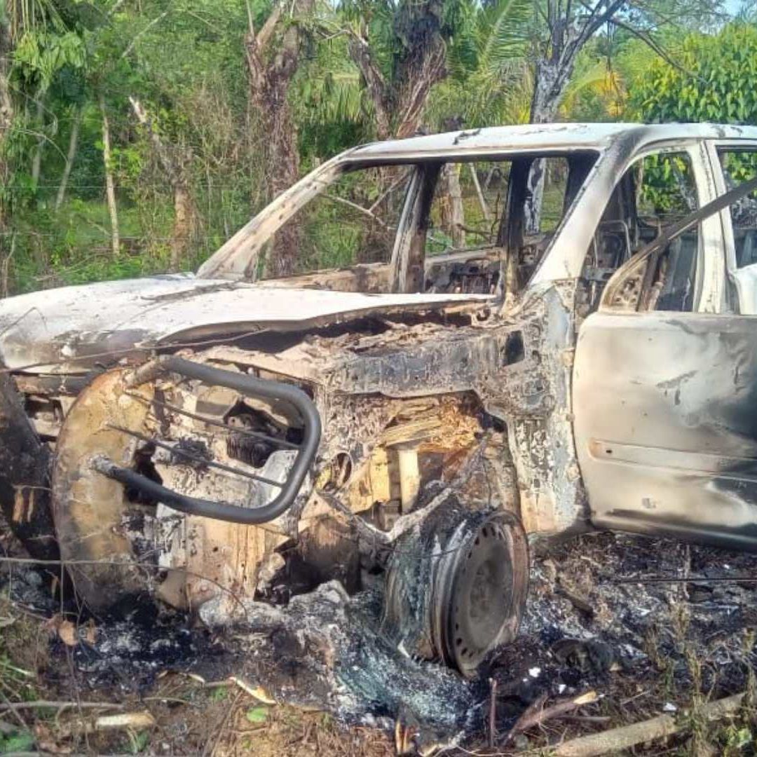 Hallan Restos Humanos Dentro de Camioneta Calcinada en Sayula de Alemán y Oluta, Veracruz
