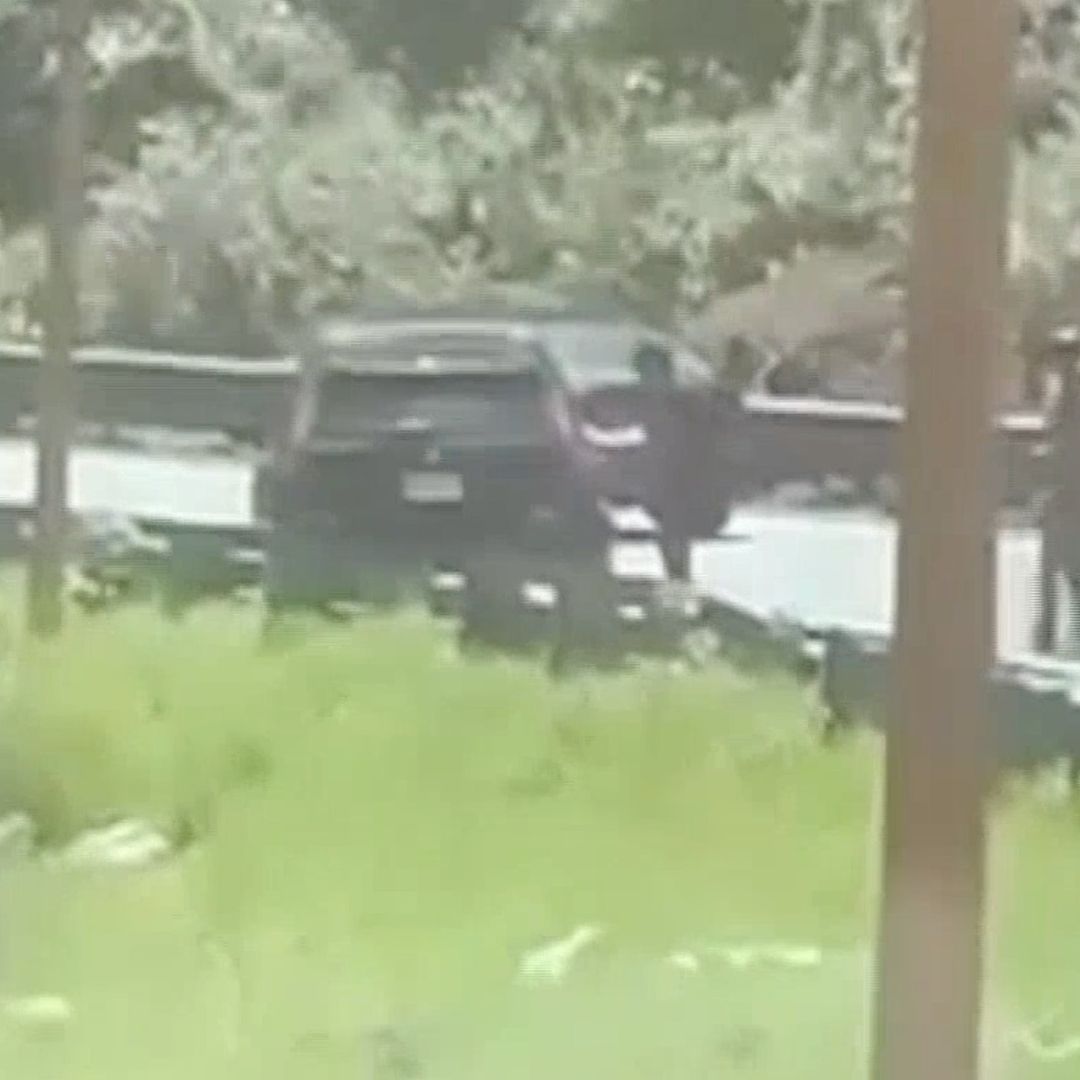 Asaltan a madre buscadora Araceli Salcedo en carretera de Veracruz