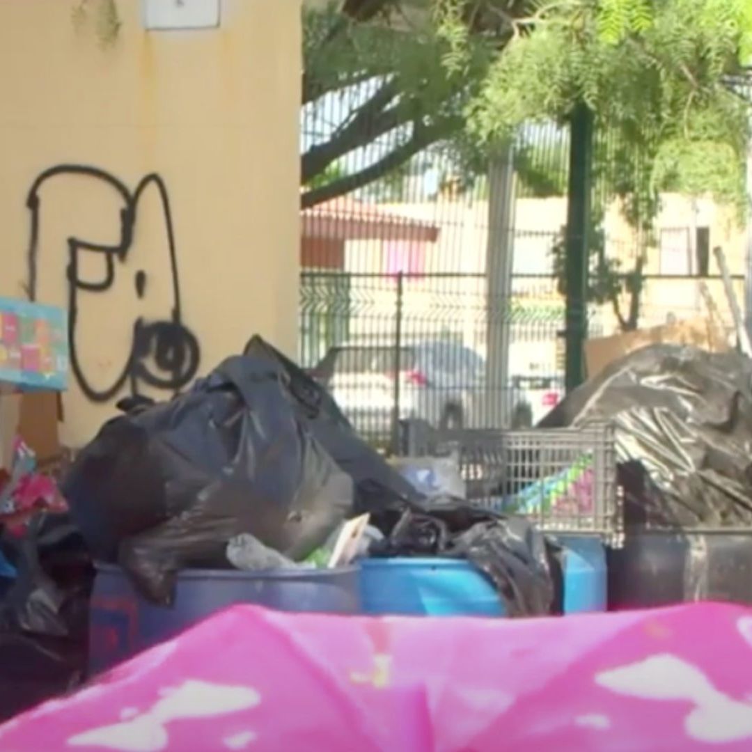 Plaga de garrapatas en escuela.