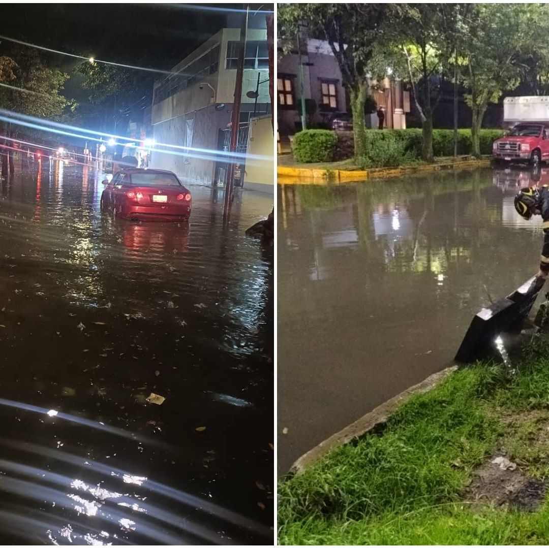 Las autoridades mantuvieron el llamado a la ciudadanía para evitar tirar basura en calles.