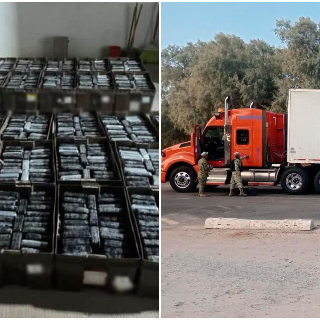 Este decomiso se suma a los esfuerzos continuos de las fuerzas de seguridad federales para combatir el narcotráfico.