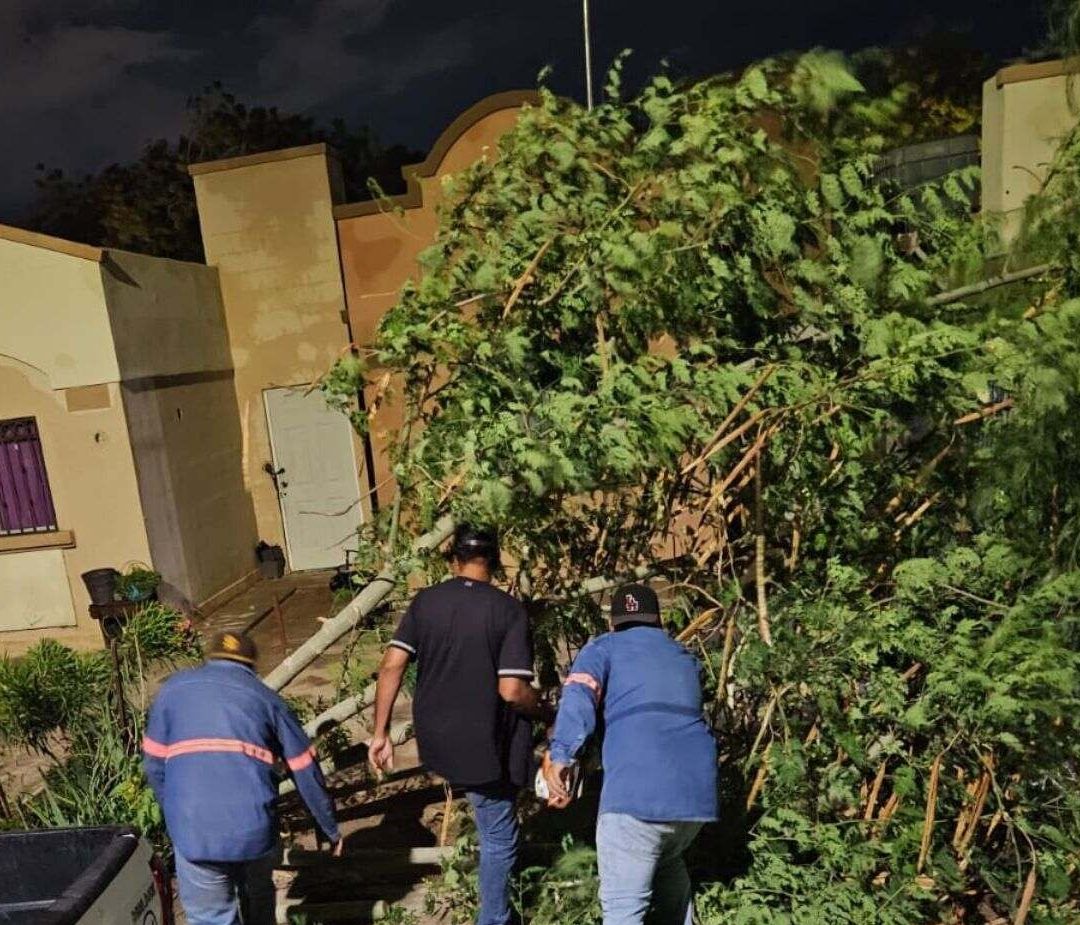 Lluvias en Hermosillo: Viviendas Inundadas y Más de 20 Reportes por Daños