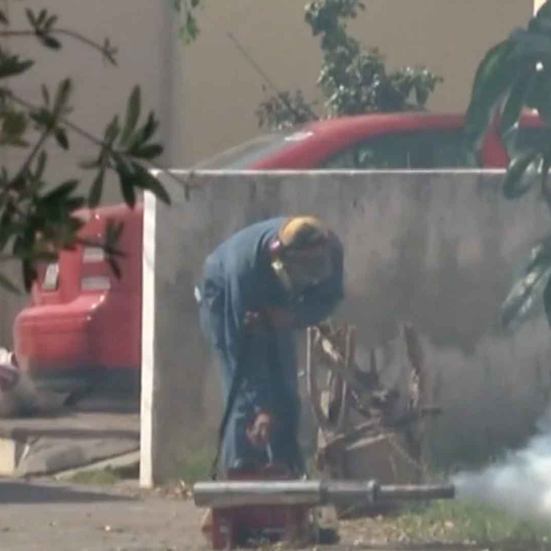 Tamaulipas Reporta Dos Nuevas Muertes por Dengue; Alertan Sobre Incremento de Casos