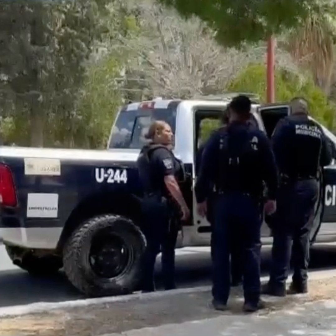 Niña de 2 Años es Supuestamente Arrebatada de Brazos de su Madre en Parque Público