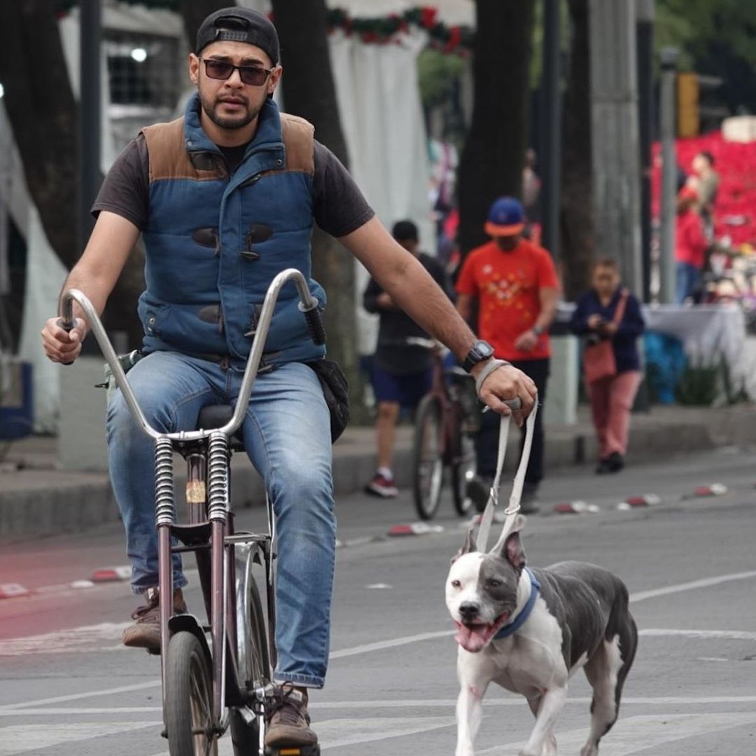 Calles Cerradas el 1 de Septiembre 2024 en CDMX por Informe de AMLO y Paseo Muévete en Bici
