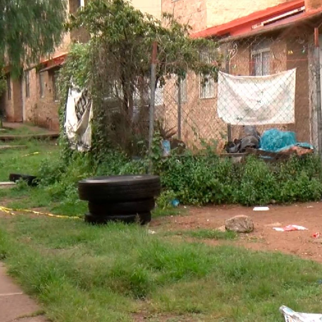 Afirman que los restos localizados en Valle de los Cactus no son humanos
