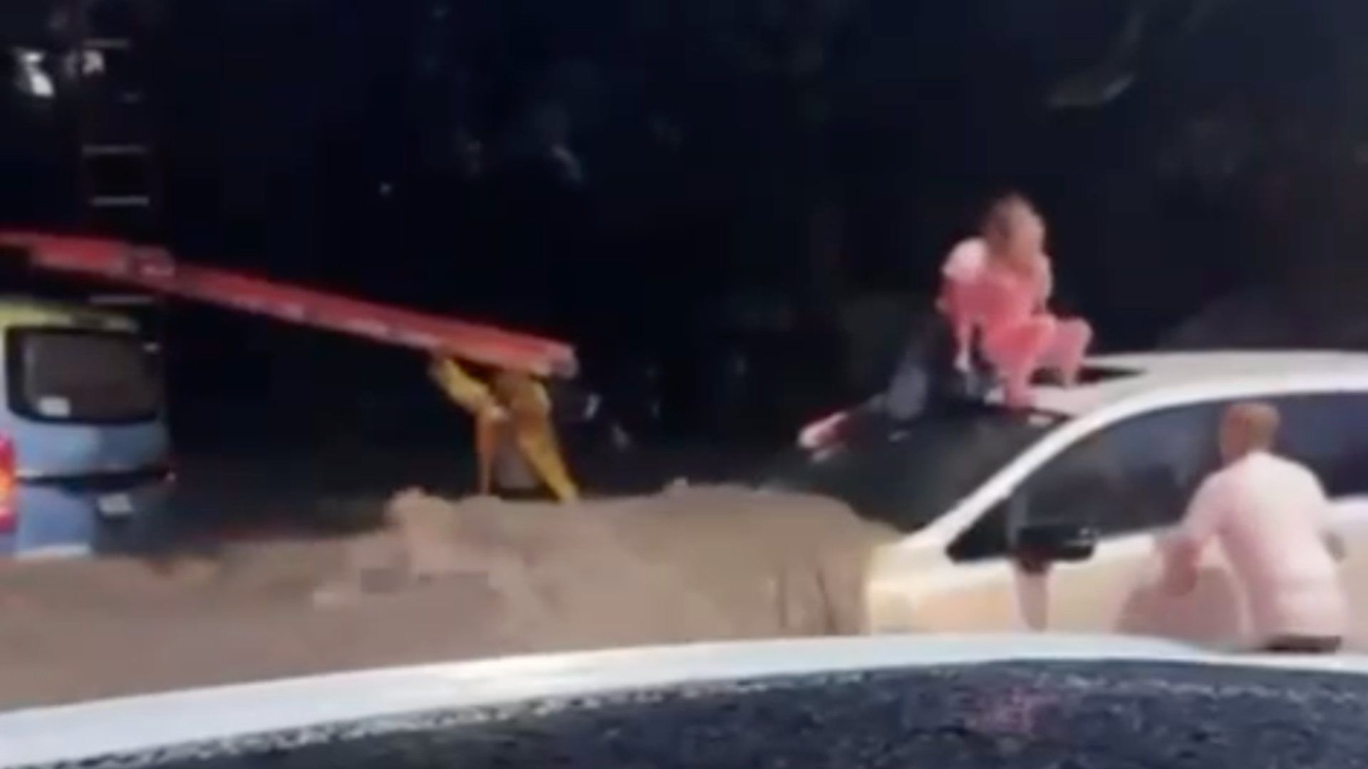 Una niña fue rescatada de la inundación