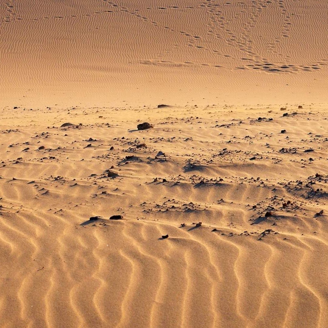 Desierto de Sáhara