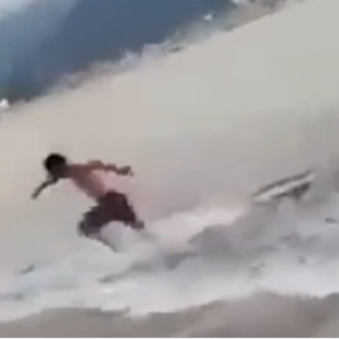 Captan Ataque de Cocodrilo a Turista en Playa de Puerto Vallarta