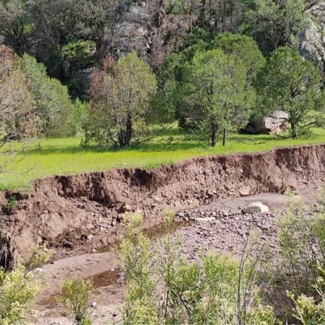 Localizan Restos Óseos en Arroyo del Municipio de Carichí, Chihuahua