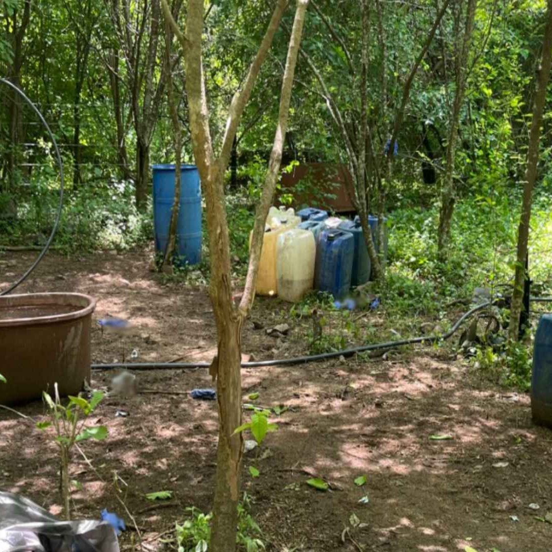 Operación Frontera Norte en Sinaloa