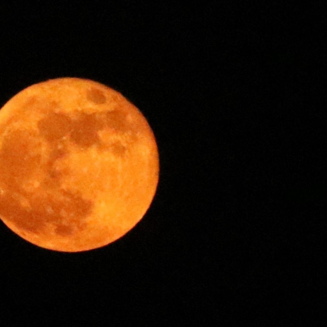 Luna Llena de Septiembre 2024: ¿Cuándo Es y Por Qué se le Llama "Luna de Cosecha"?