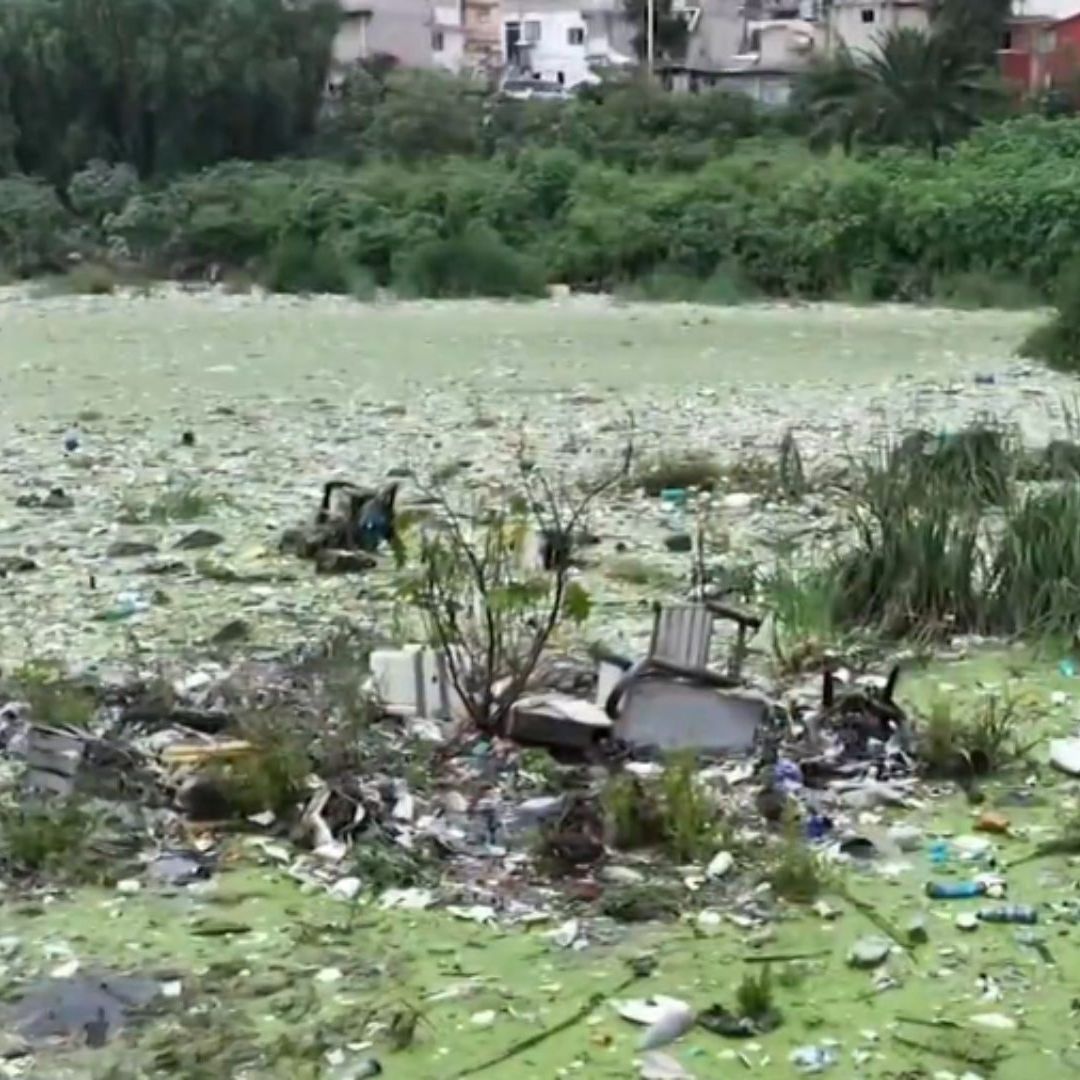 Presas de Alcaldía Álvaro Obregón Contaminadas por Basura