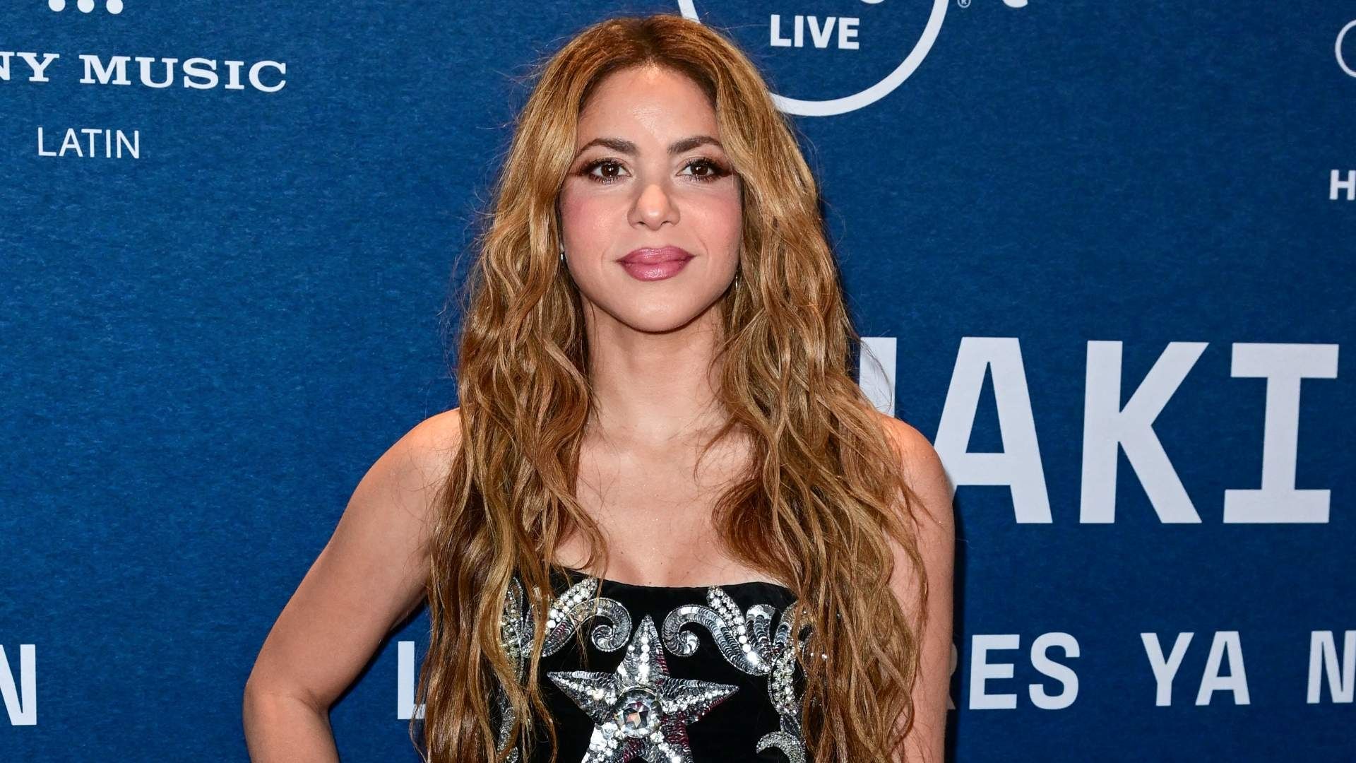 Shakira Revela Detalles de un Pacto Para Proteger a sus Hijos