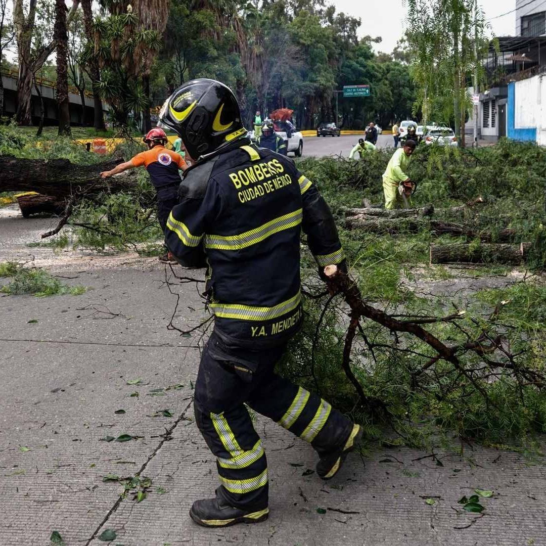 El Heroico Cuerpo de Bomberos reporta que en lo que va del 2024 han retirado más de 5 mil árboles caídos