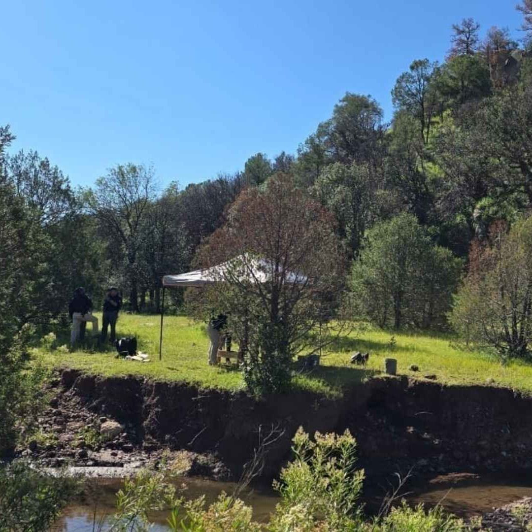 Localizan Restos Óseos Durante Operativo de Búsqueda en Carichí, Chihuahua