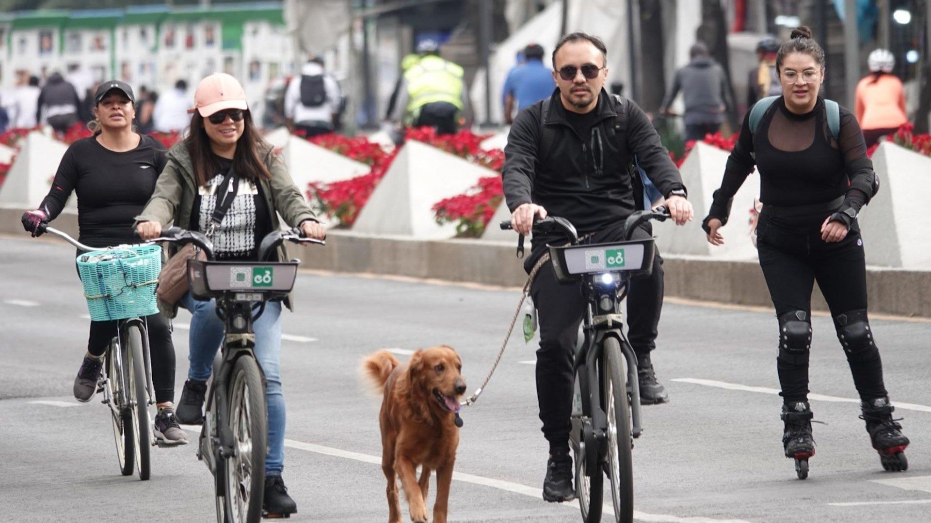 Paseo Dominical "Muévete en Bici CDMX" Cambia Ruta del 8 de Septiembre 2024; Así Queda
