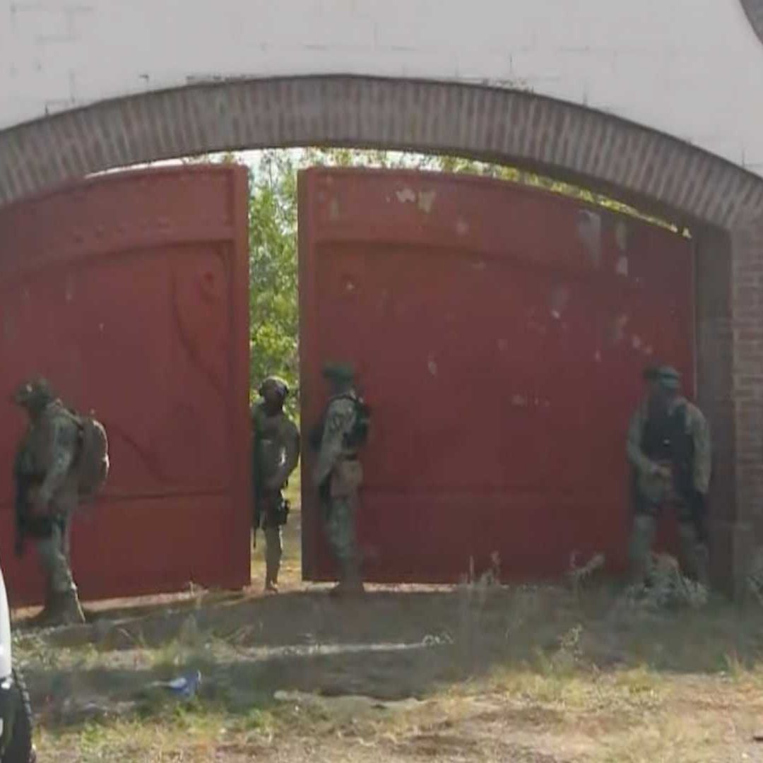 Elementos del Ejército Mexicano Aseguraron la Nogalera