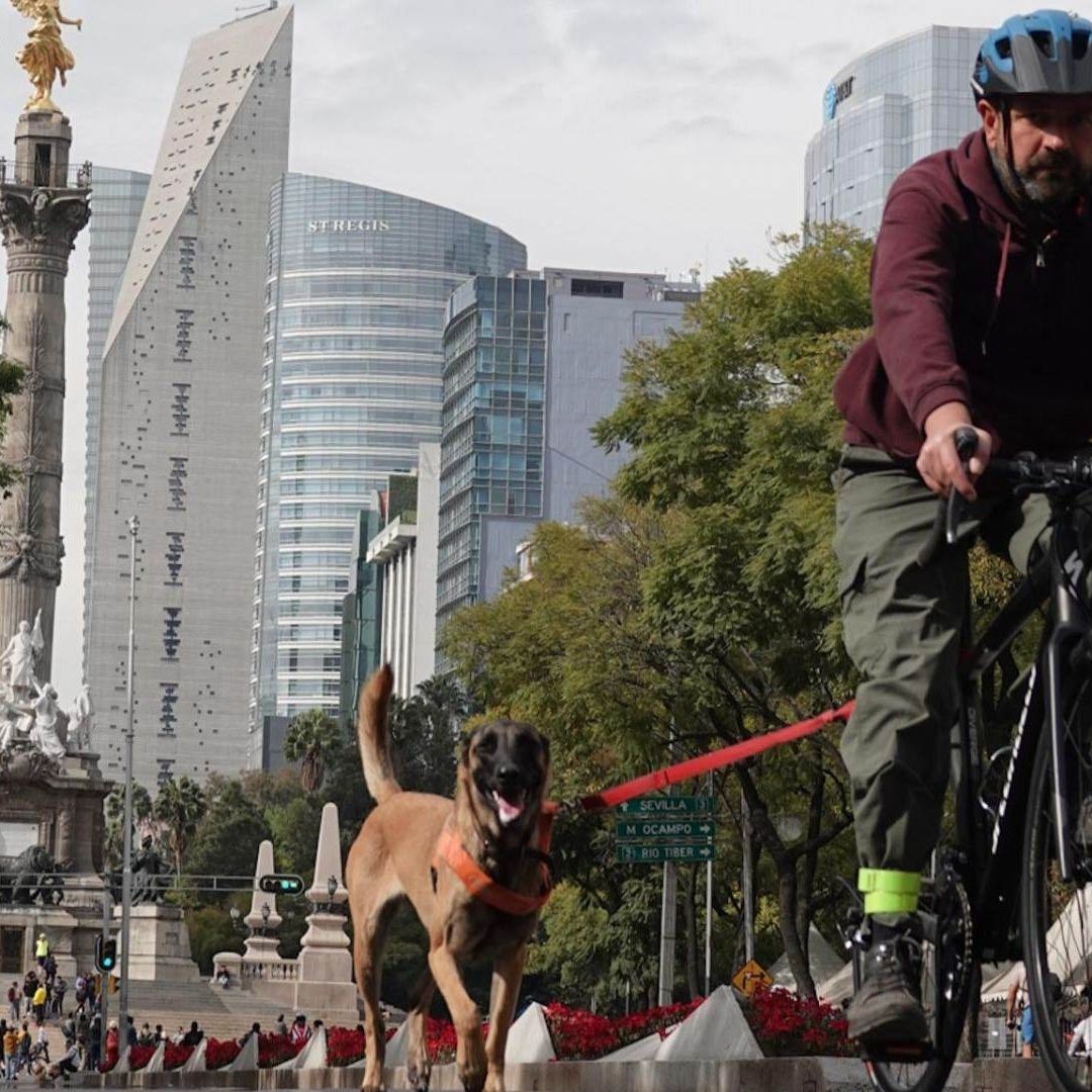 Actividades para Hacer el Fin de Semana en CDMX: Cartelera Septiembre 2024
