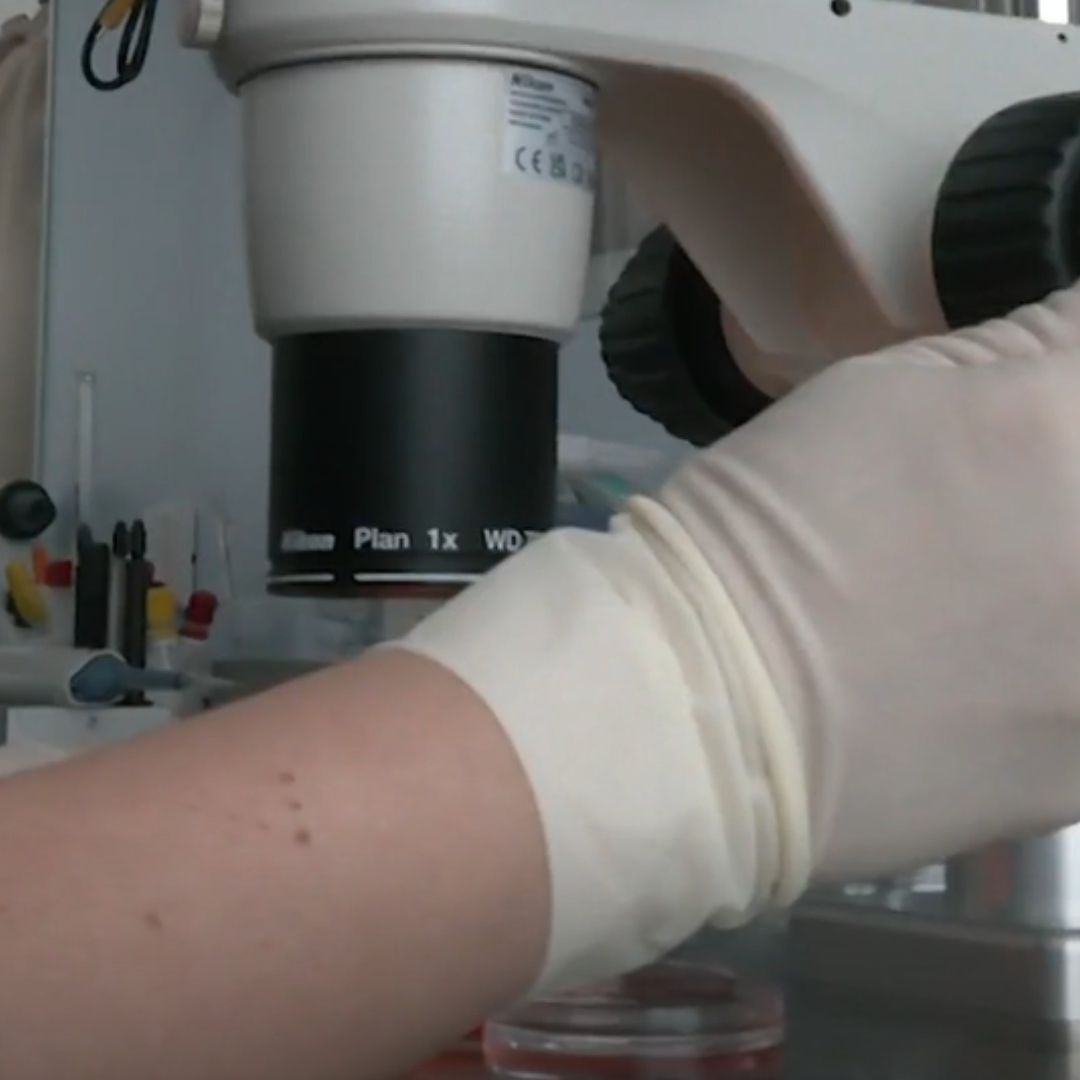 Deficiencias en Trabajo del Servicio Forense en Reynosa Complica Identificación de Cuerpos