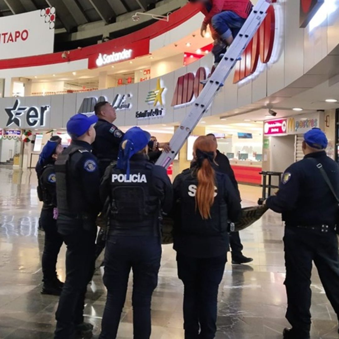 ¿Qué Pasó en la TAPO Hoy? Joven Intenta Quitarse la Vida en Terminal de CDMX y es Rescatado