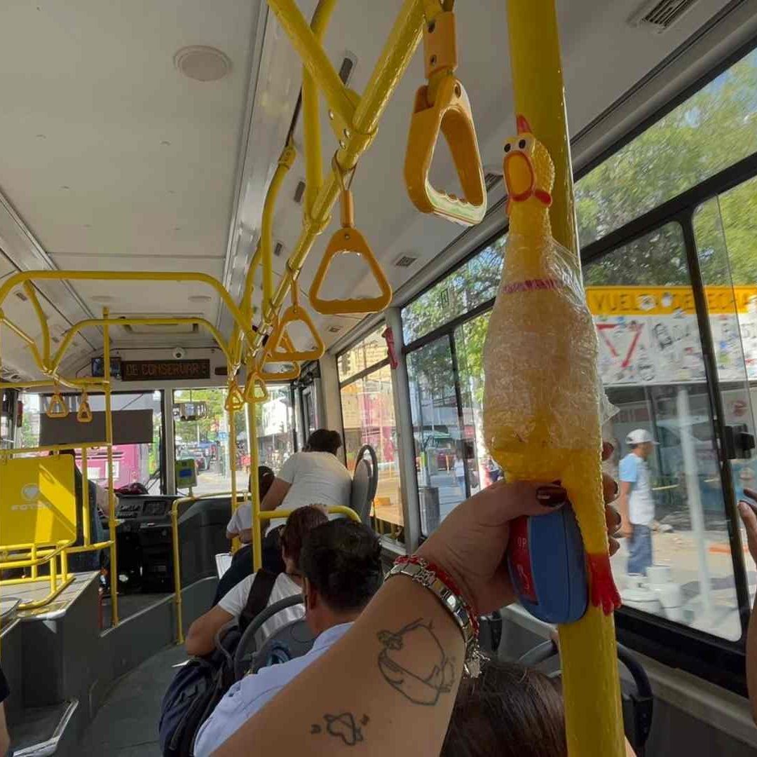 Un “Gallo” Avisa Parada en Ruta 155 en Monterrey, NL Sorprende Ingenio