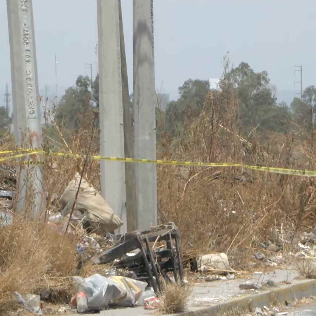 Encuentran Restos Humanos en Bolsas Negras en SLP