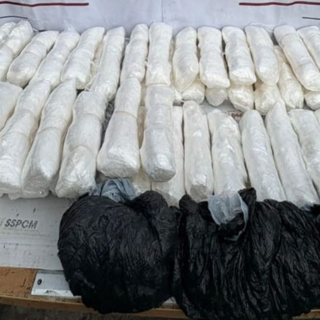 Policía Atiende Caso de Mula Ciega en Playas de Tijuana