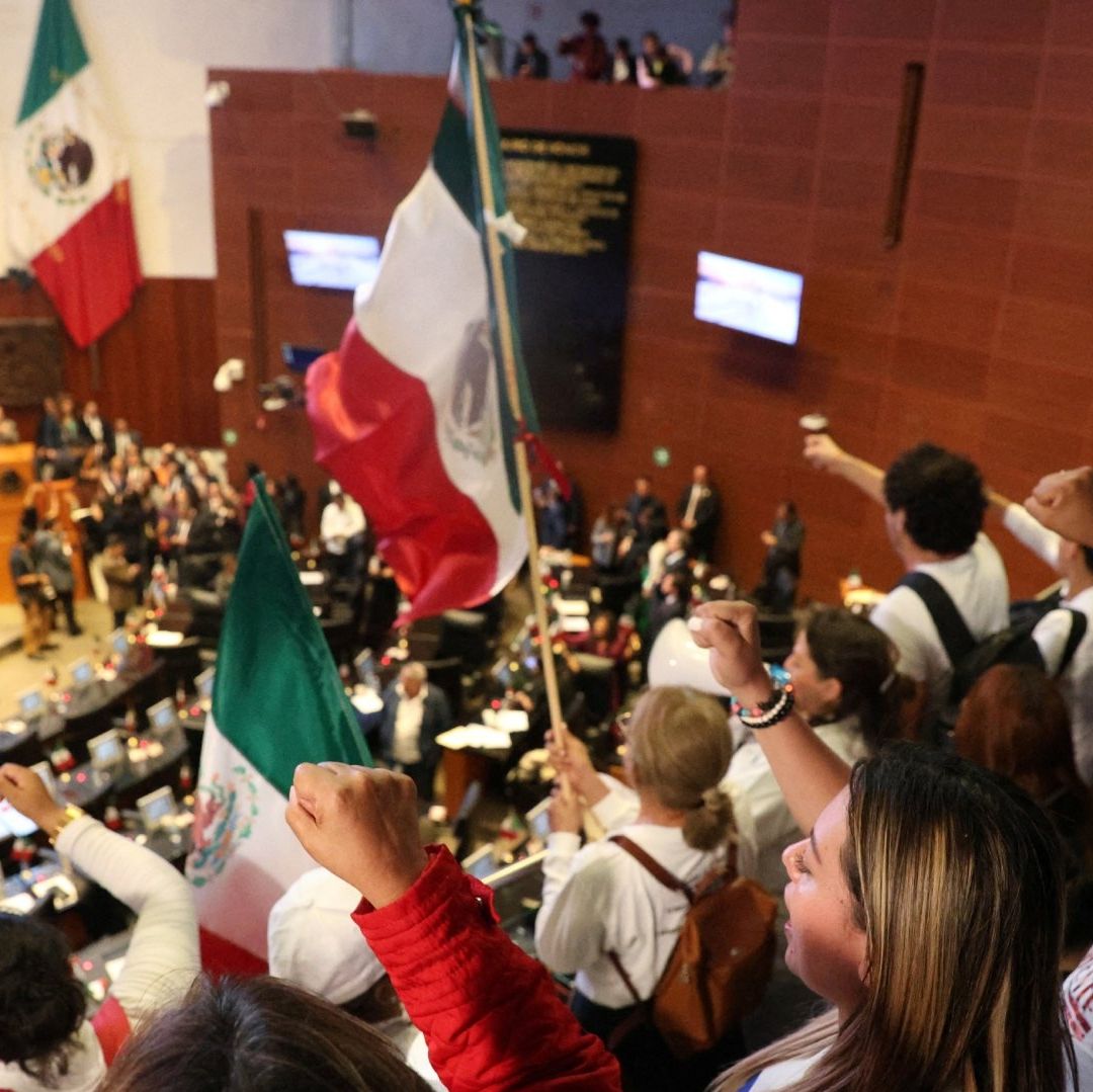 ¿Qué Pasó en el Senado Hoy? Manifestantes Toman la Tribuna