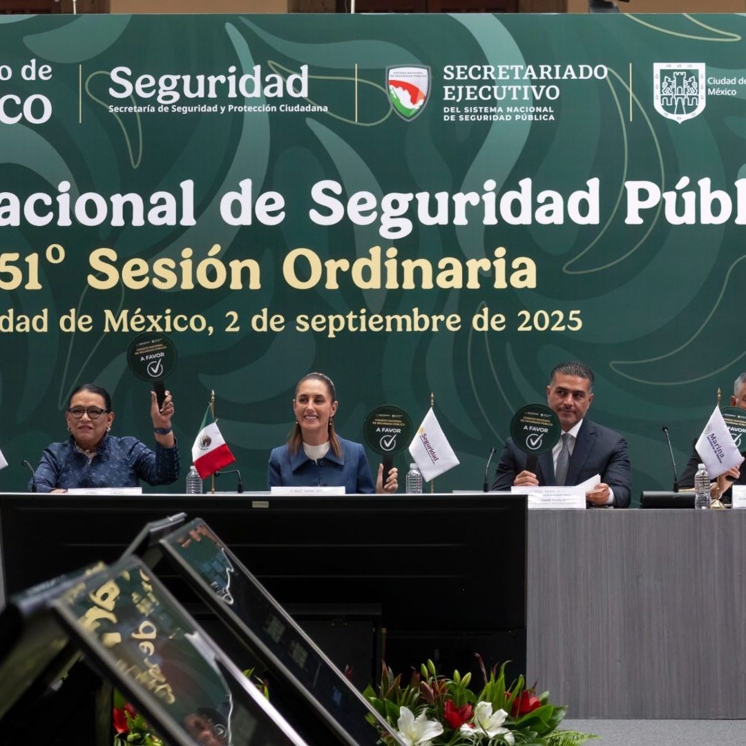 Votación durante Consejo Nacional de Seguridad Pública