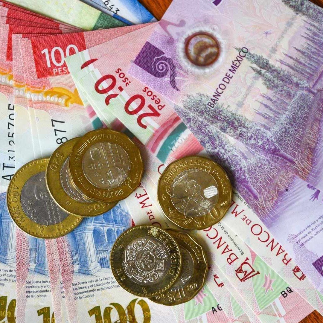 Pensión y Apoyos Bienestar 2025