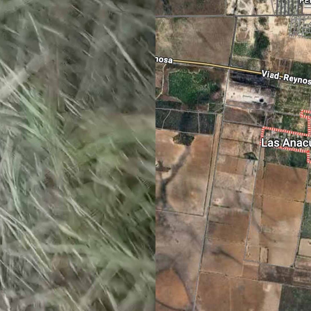 Encuentran Cuerpo de Mujer en Avanzado Estado de Descomposición en Reynosa