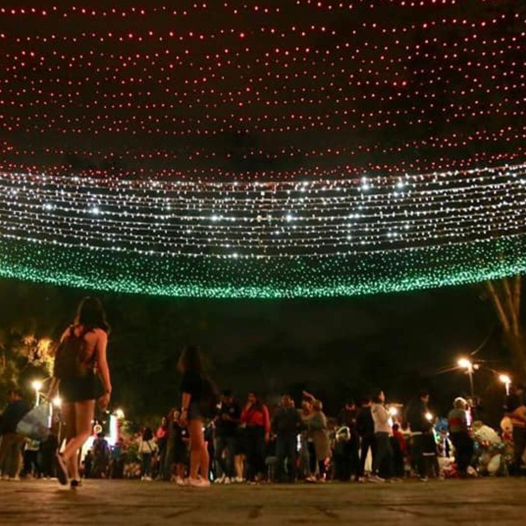 Conoce la lista de artistas que estará en la noche mexicana de la alcaldía Coyoacán el 15 de septiembre 2024